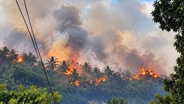 Joune Ganda Tetapkan TDB Minut 14 Hari
